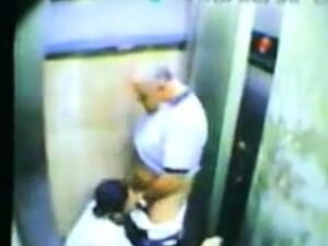 Daddy Bear and his Young Cub Caught on Camera